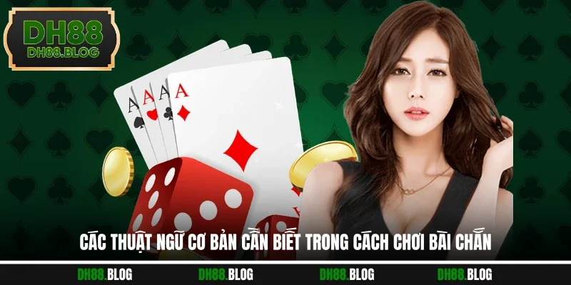 Các thuật ngữ cơ bản cần biết trong cách chơi bài chắn