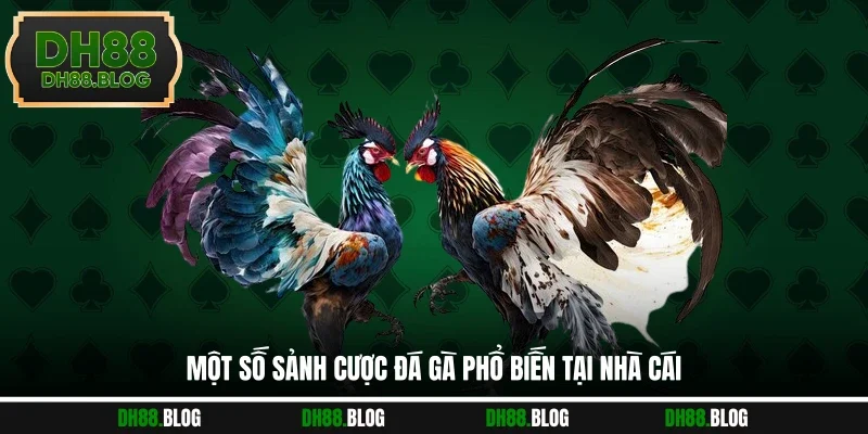 Một số sảnh cược đá gà phổ biến tại nhà cái