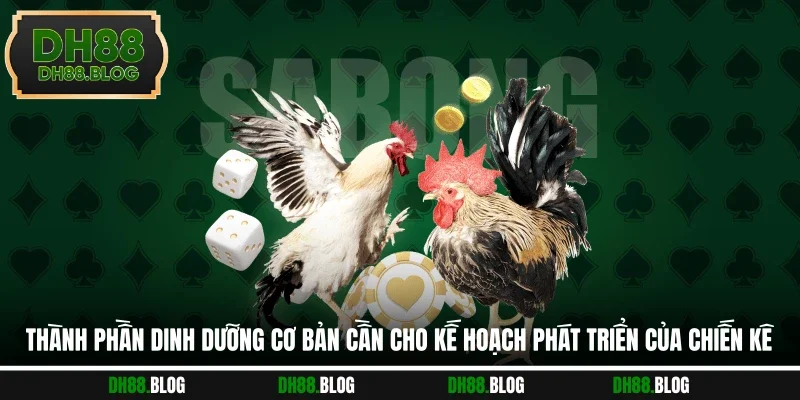 Thành phần dinh dưỡng cơ bản cần cho kế hoạch phát triển của chiến kê